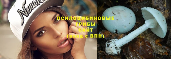 хмурый Алексеевка