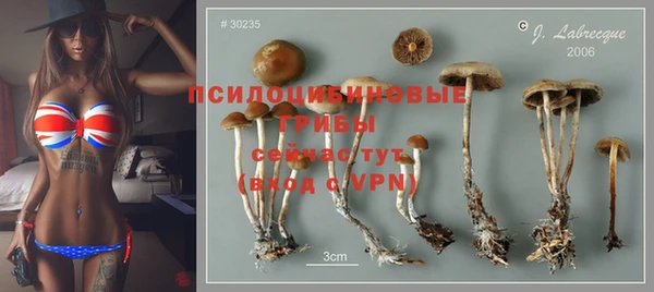 хмурый Алексеевка