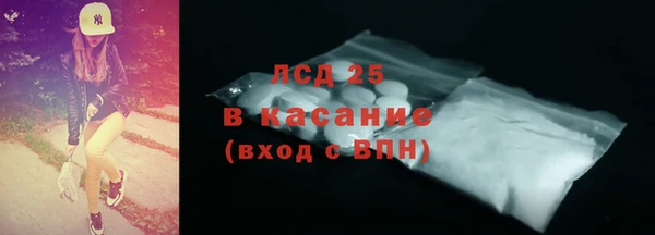 индика Алексин