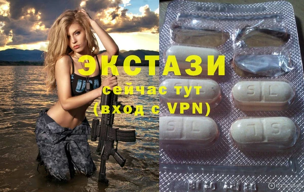 индика Алексин
