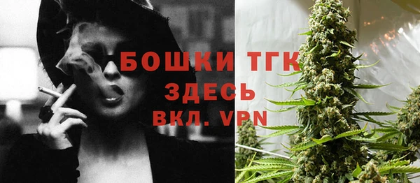 тгк Семилуки