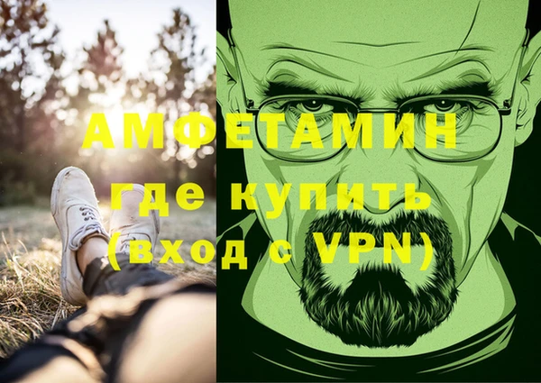 индика Алексин