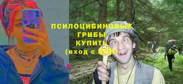 спиды Армянск