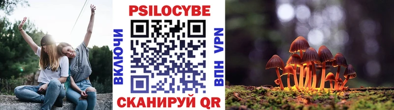 Псилоцибиновые грибы Magic Shrooms  наркота  Конаково 